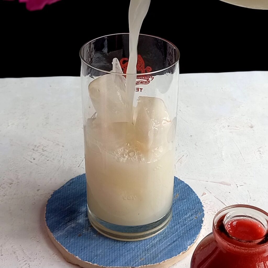 Lychee Plum Mojito Fruity Mojito Candid Treat