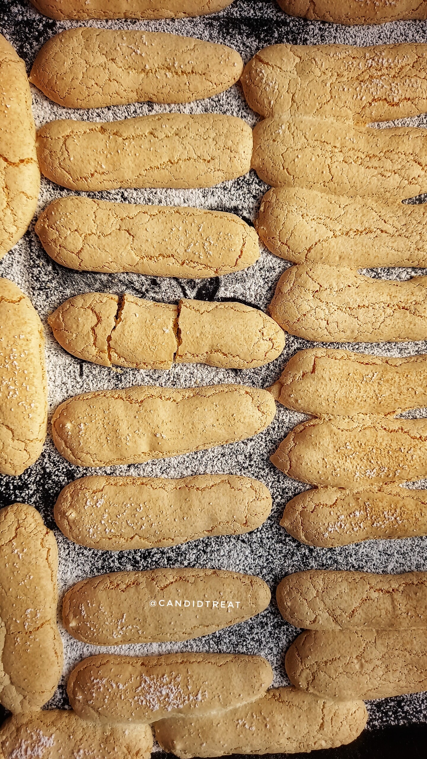 Italian Ladyfinger Biscuits Recipe Candid Treat