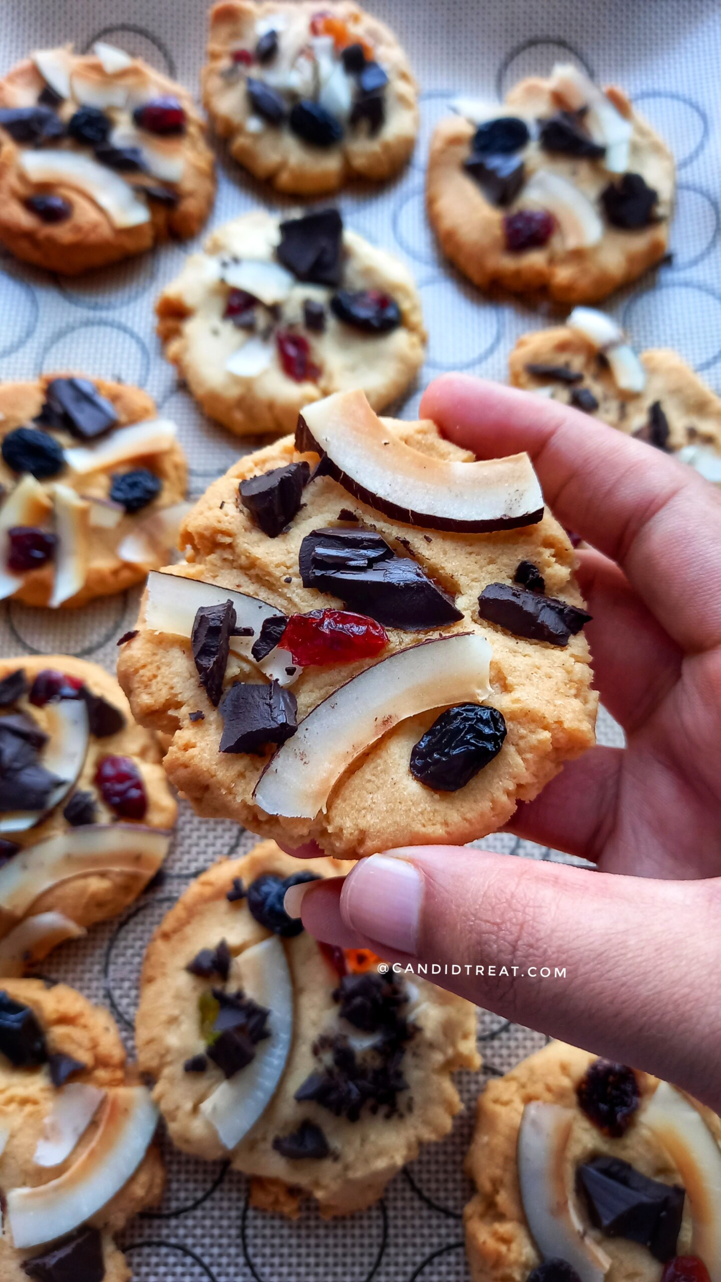 Gluten-free Coconut Cookies | Eggless Cookies - Candid Treat
