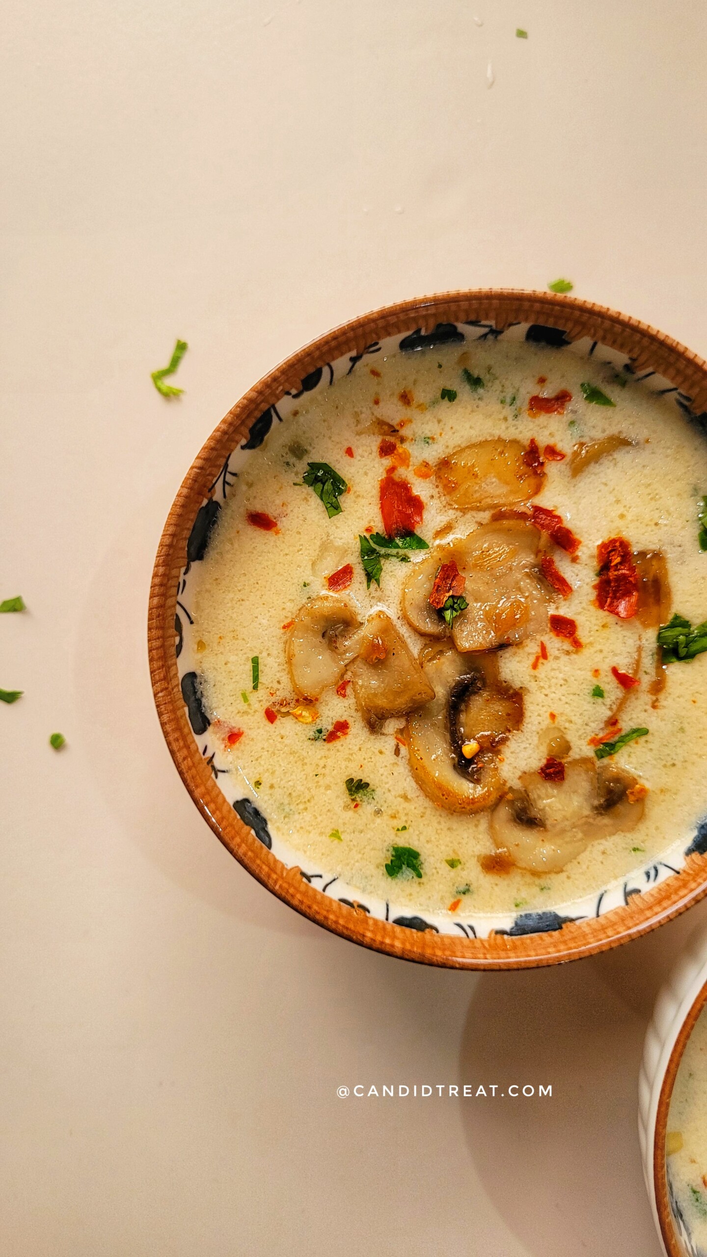 Mushroom Soup Recipe | Cream of Mushroom Soup - Candid Treat